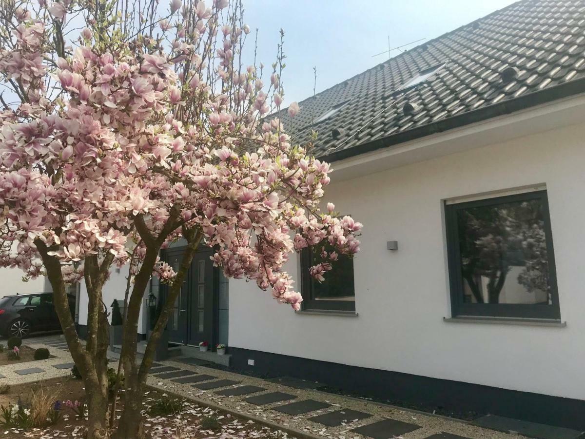 Apartamento Weinurlaub Sulzfeld am Main Exterior foto